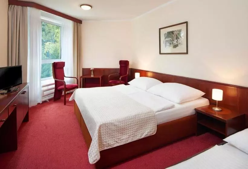 اتاق استاندارد یک نفره, Wellness Hotel Svornost