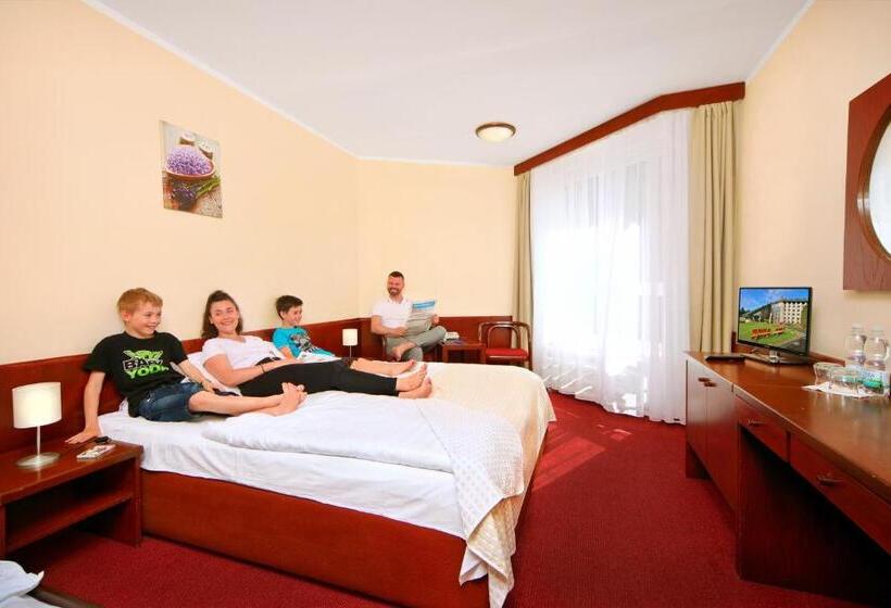 غرفة قياسية, Wellness Hotel Svornost