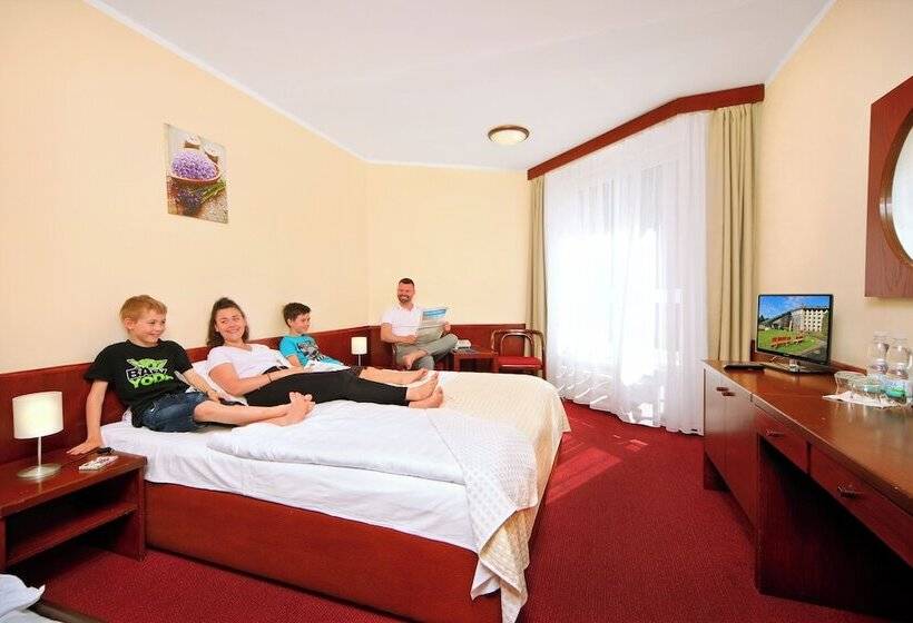 Номер Стандарт, Wellness Hotel Svornost