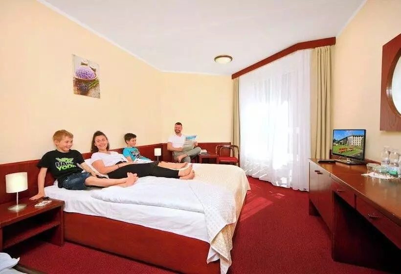 اتاق استاندارد, Wellness Hotel Svornost