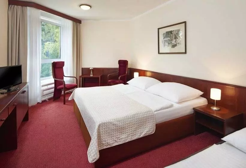 اتاق استاندارد, Wellness Hotel Svornost