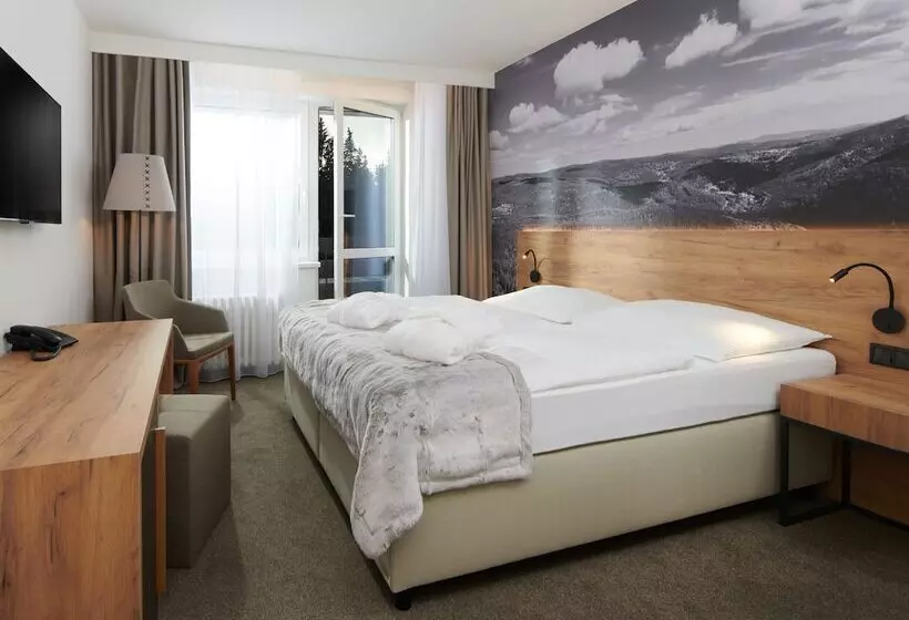 اتاق سوپریور با بالکن, Wellness Hotel Svornost