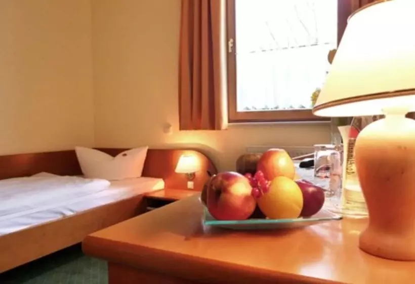 اتاق استاندارد یک نفره, Landhotel Dresden