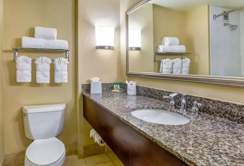 ２ダブルベッドのスタンダードルーム, Holiday Inn Indianapolis North Carmel, An Ihg