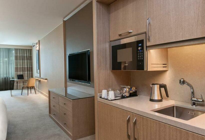 キングサイズベッドのデラックスルーム, Renaissance Polat Istanbul