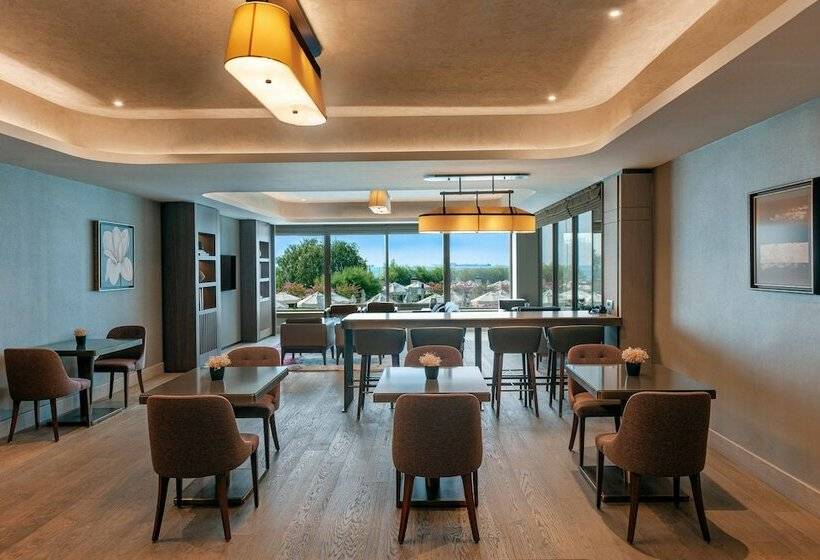 海の見えるエクゼクティブルーム, Renaissance Polat Istanbul