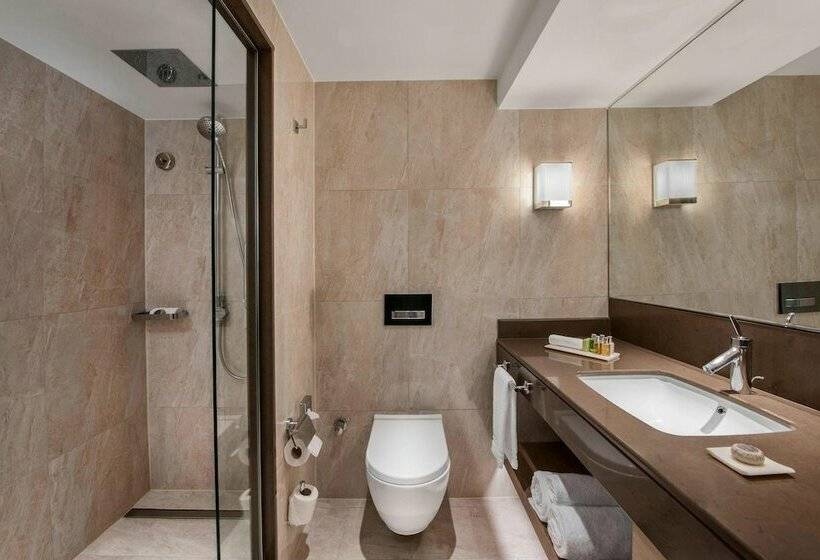 エクゼクティブルーム, Renaissance Polat Istanbul