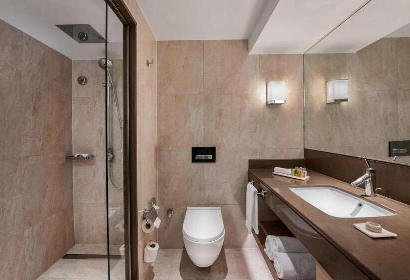 キングサイズベッドのデラックスルーム, Renaissance Polat Istanbul