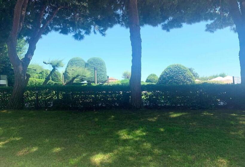 キングサイズベッドのデラックスルーム, Renaissance Polat Istanbul