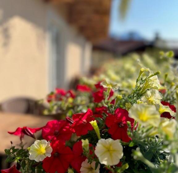 1 Yatak Odalı Lüks Daire, Residenz Theresa