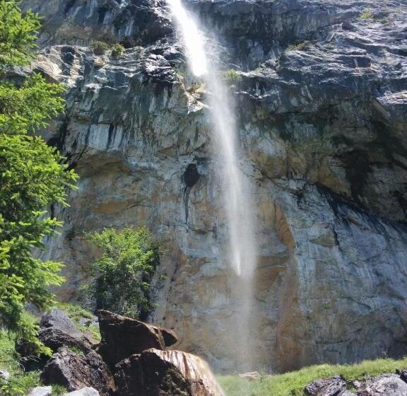 2 Yatak Odalı Daire, Residenz Theresa