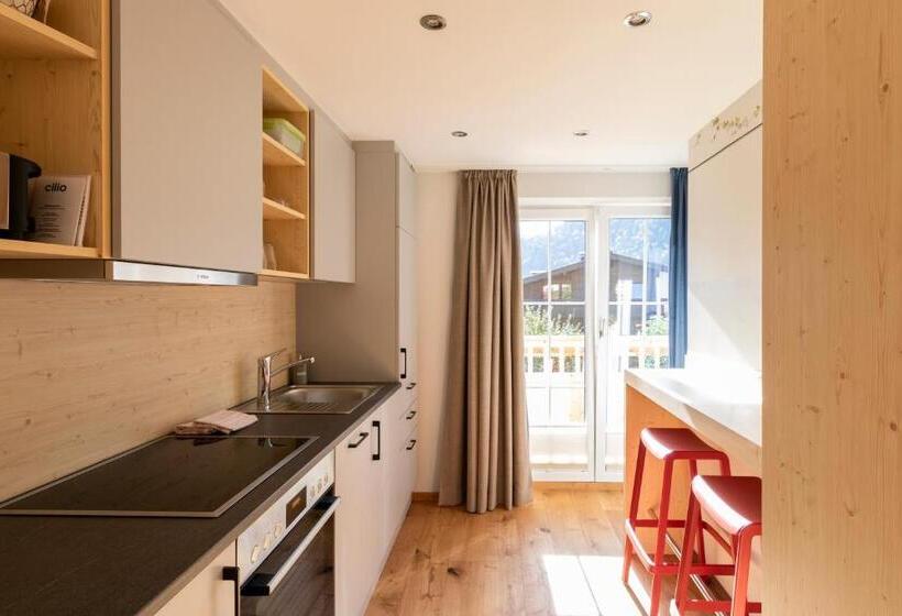 Manzaralı 1 Yatak Odalı Daire, Residenz Theresa