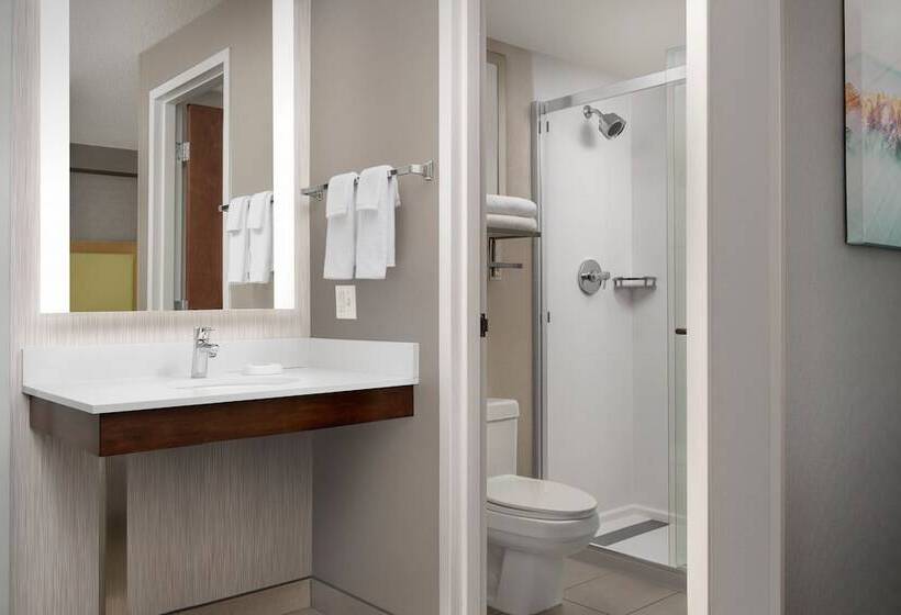 スイート, Springhill Suites By Marriott Boise Parkcenter