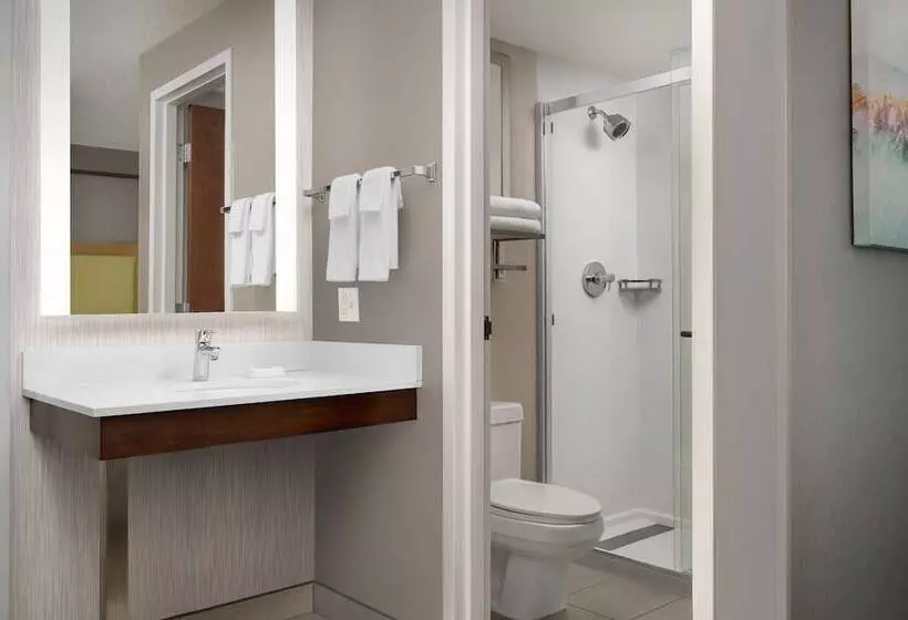 سوییت, Springhill Suites By Marriott Boise Parkcenter
