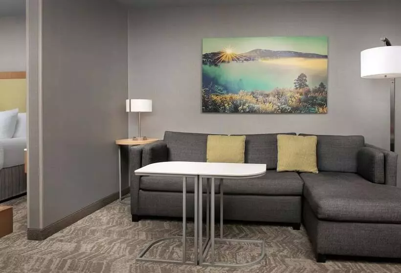 سوییت, Springhill Suites By Marriott Boise Parkcenter