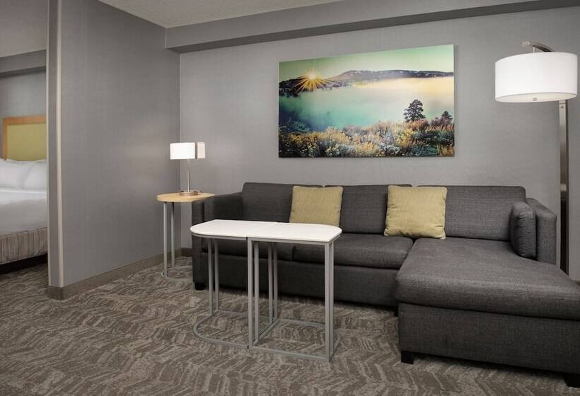 جناح, Springhill Suites By Marriott Boise Parkcenter