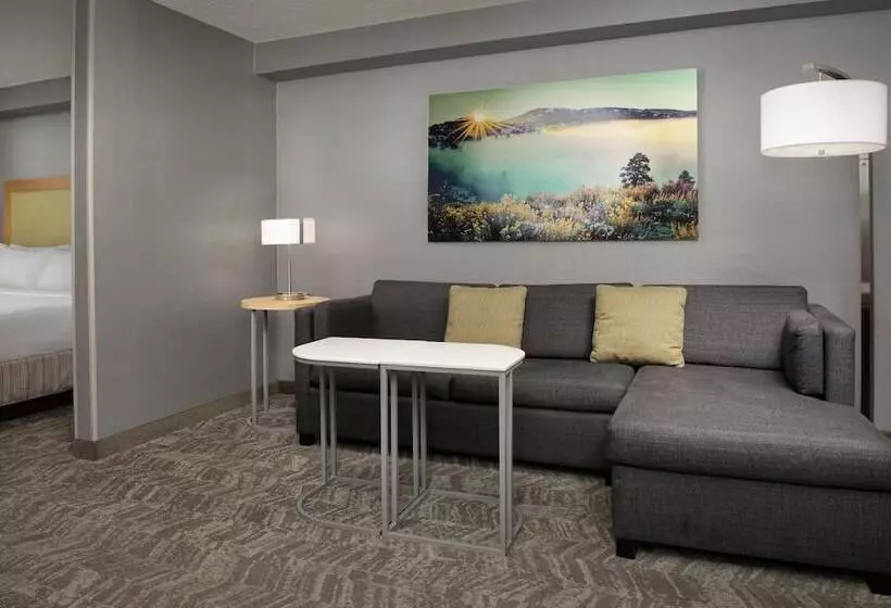 سوییت, Springhill Suites By Marriott Boise Parkcenter