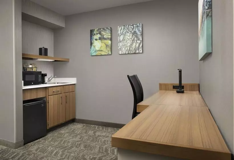 سوییت, Springhill Suites By Marriott Boise Parkcenter