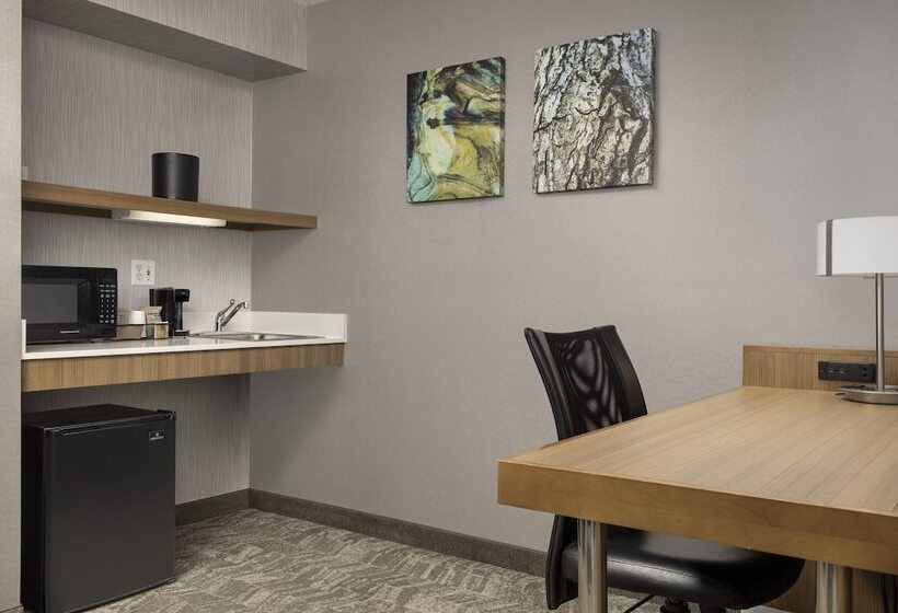 جناح, Springhill Suites By Marriott Boise Parkcenter