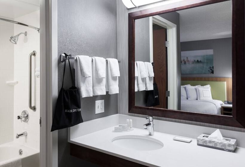 جناح لذوى الاحتياجات الخاصة, Springhill Suites By Marriott Boise Parkcenter