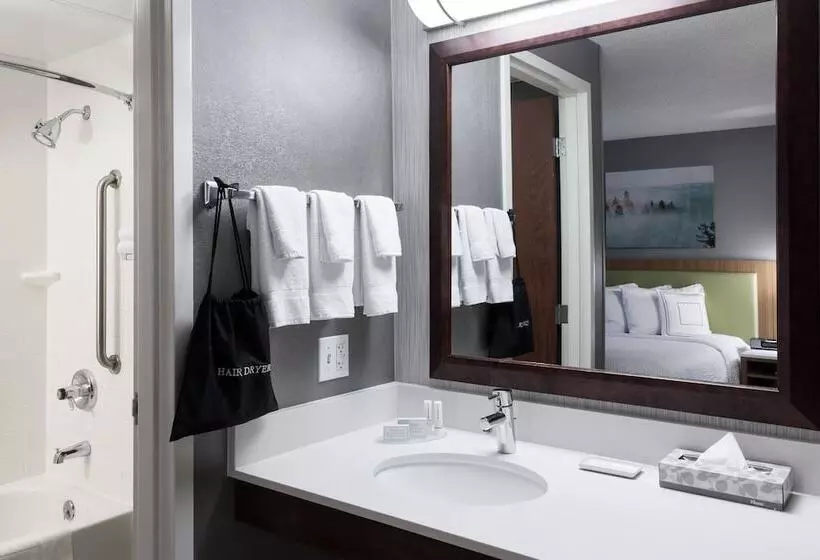 سوئیت برای معلولان, Springhill Suites By Marriott Boise Parkcenter