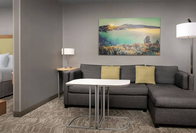 جناح لذوى الاحتياجات الخاصة, Springhill Suites By Marriott Boise Parkcenter