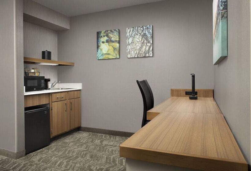 جناح لذوى الاحتياجات الخاصة, Springhill Suites By Marriott Boise Parkcenter