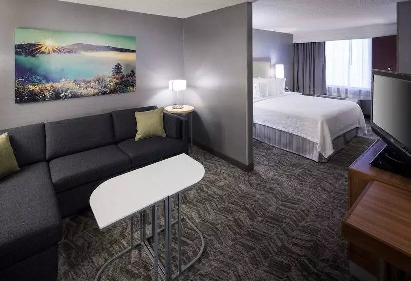 سوئیت برای معلولان, Springhill Suites By Marriott Boise Parkcenter