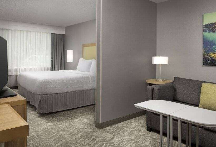 جناح لذوى الاحتياجات الخاصة, Springhill Suites By Marriott Boise Parkcenter