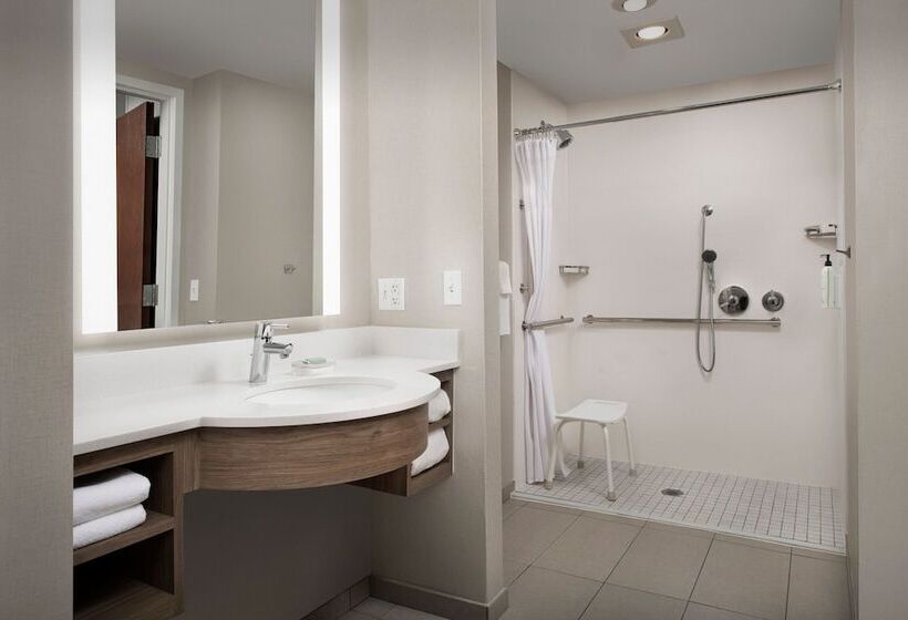 جناح لذوى الاحتياجات الخاصة, Springhill Suites By Marriott Boise Parkcenter