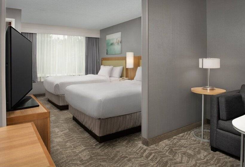 جناح لذوى الاحتياجات الخاصة, Springhill Suites By Marriott Boise Parkcenter