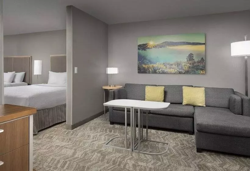 سوئیت برای معلولان, Springhill Suites By Marriott Boise Parkcenter