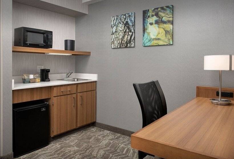 套房, Springhill Suites By Marriott Boise Parkcenter