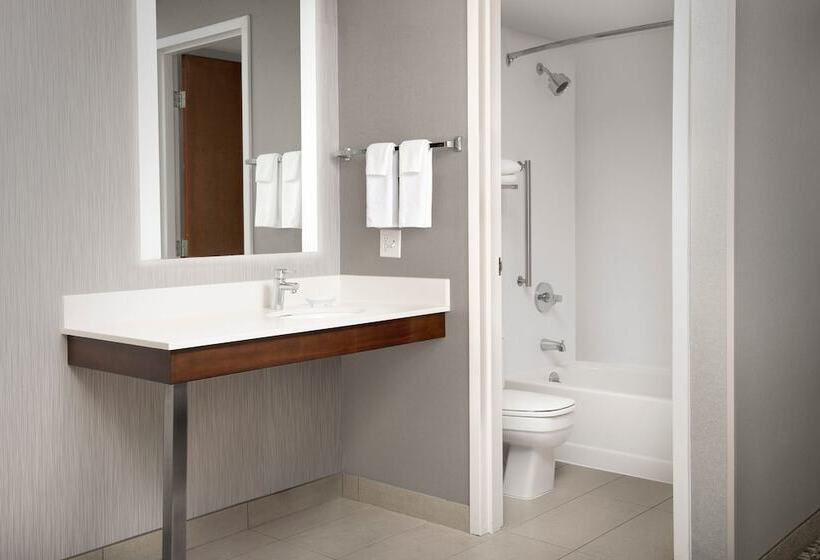 スイート, Springhill Suites By Marriott Boise Parkcenter