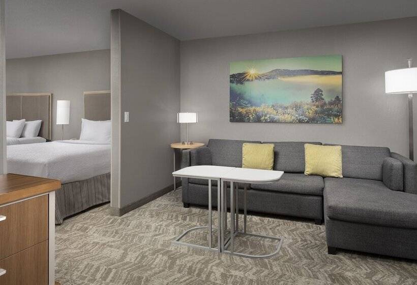 スイート, Springhill Suites By Marriott Boise Parkcenter