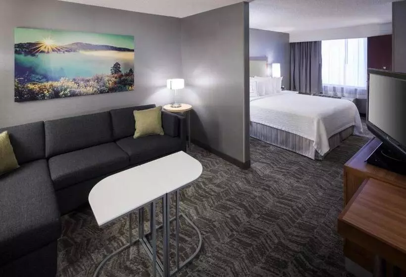 سوئیت با تخت بزرگ, Springhill Suites By Marriott Boise Parkcenter