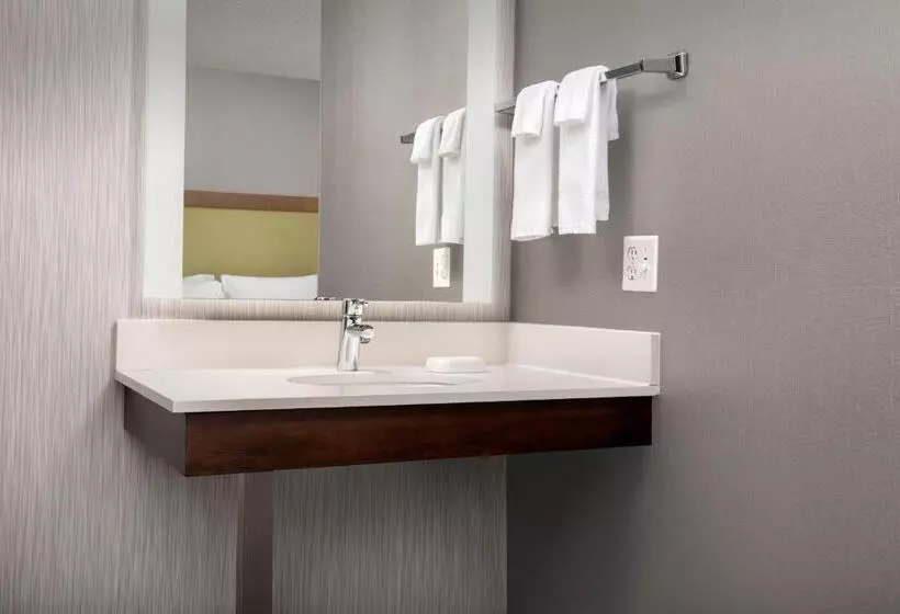 سوییت, Springhill Suites By Marriott Boise Parkcenter