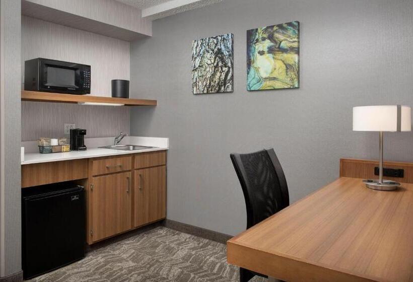 スイート, Springhill Suites By Marriott Boise Parkcenter