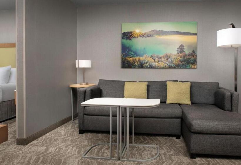 套房, Springhill Suites By Marriott Boise Parkcenter