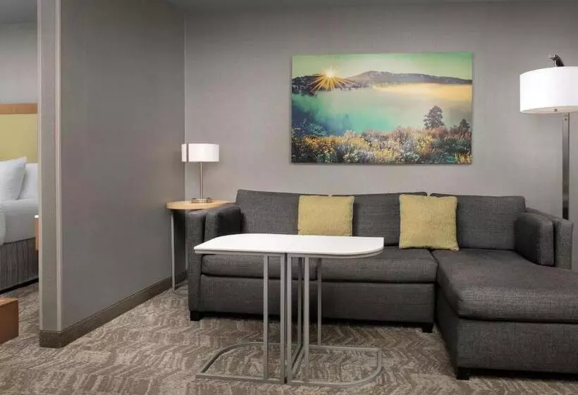 سوییت, Springhill Suites By Marriott Boise Parkcenter
