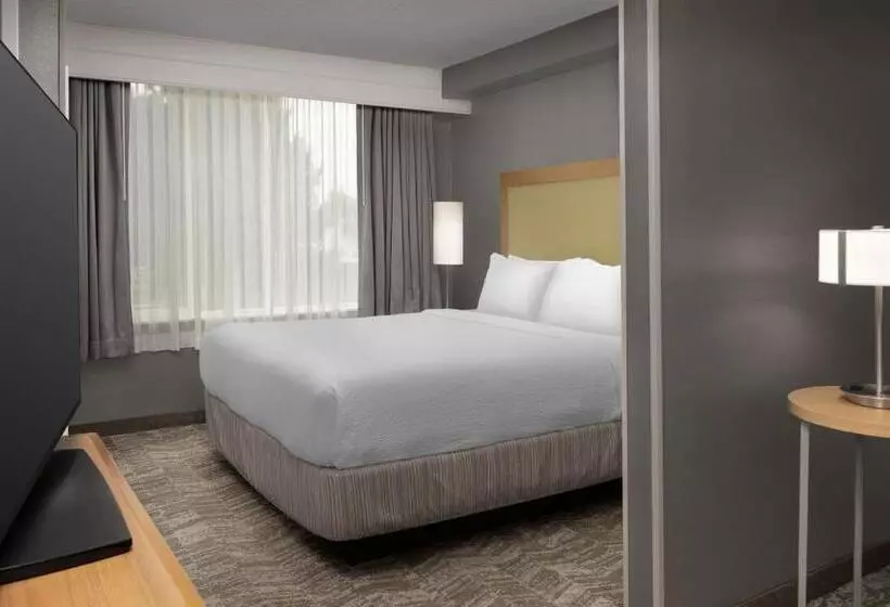 سوئیت برای معلولان, Springhill Suites By Marriott Boise Parkcenter