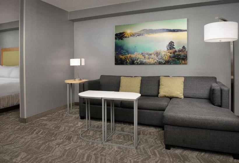 جناح لذوى الاحتياجات الخاصة, Springhill Suites By Marriott Boise Parkcenter