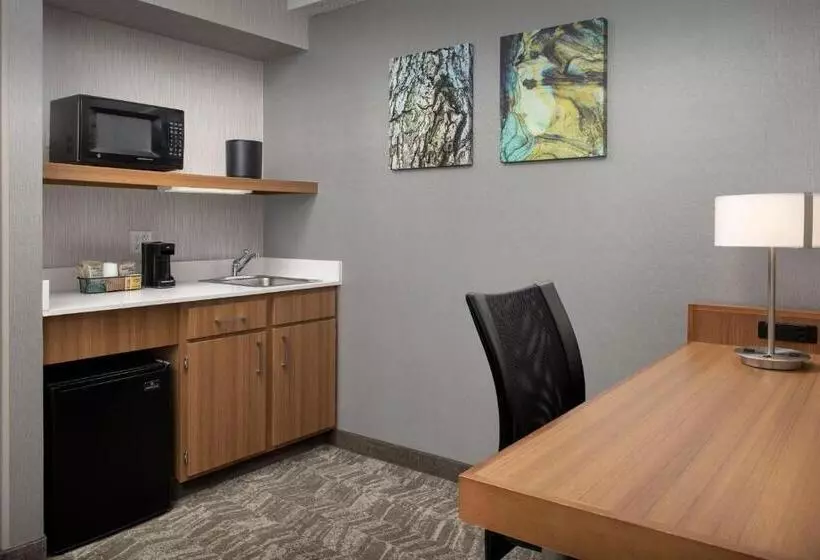 سوئیت برای معلولان, Springhill Suites By Marriott Boise Parkcenter
