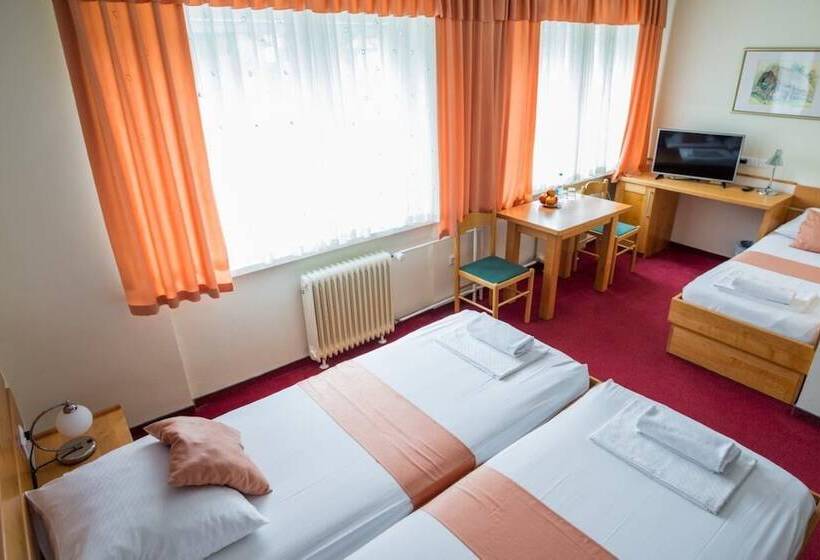 اتاق استاندارد سه نفره, Tabor Maribor