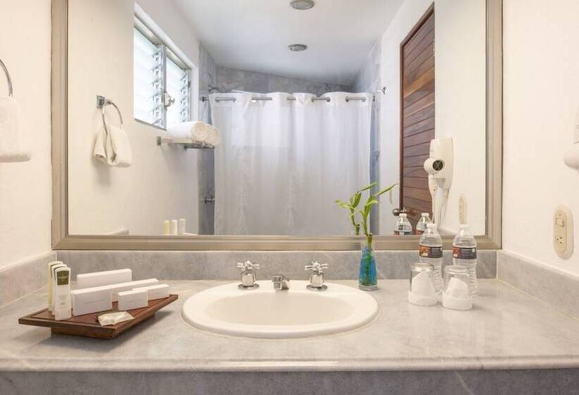 اتاق استاندارد با تخت بزرگ, Vamar Vallarta Marina & Beach Resort