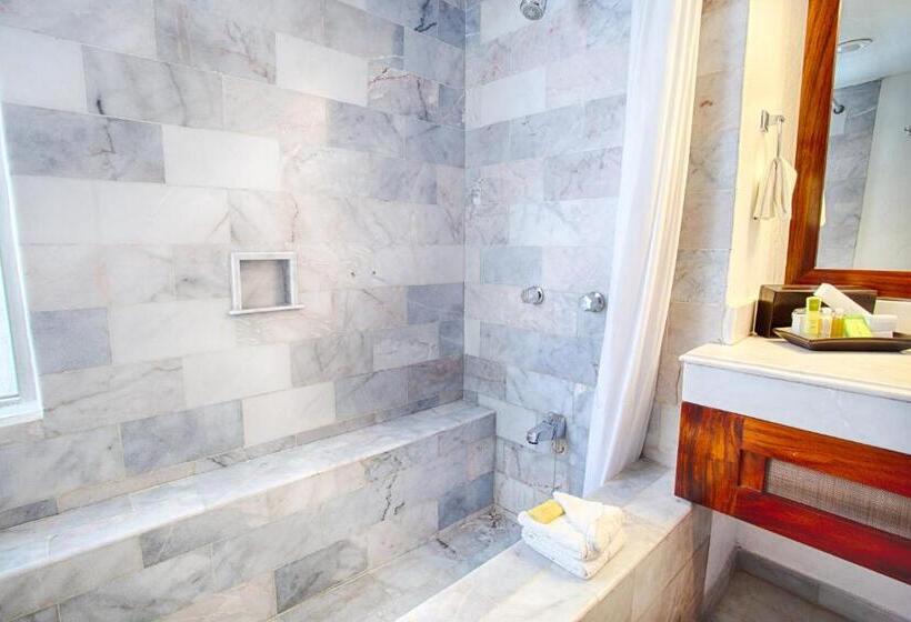 带2个双人床的标准工作室, Vamar Vallarta Marina & Beach Resort