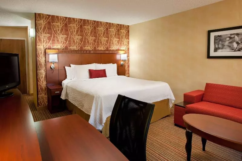 اتاق استاندارد با تخت بزرگ, Courtyard By Marriott Sacramento Airport Natomas
