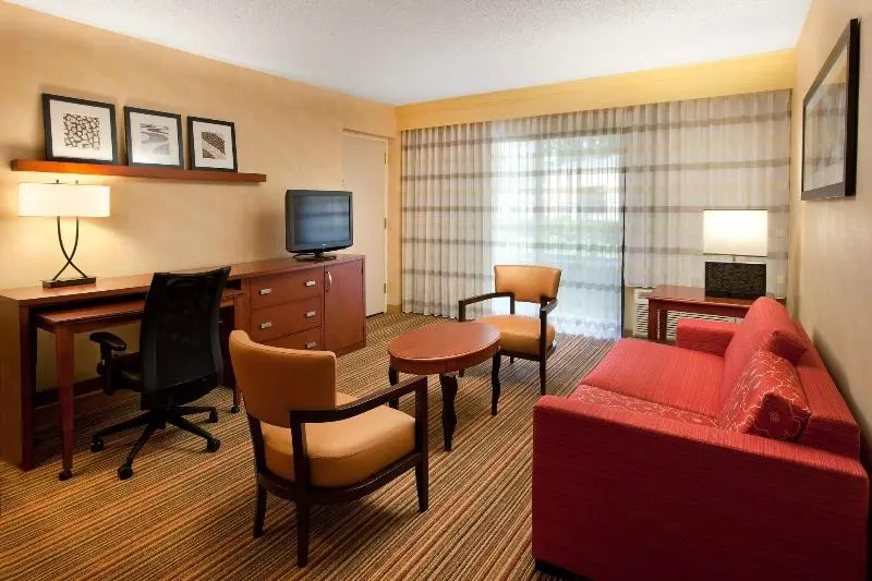 اتاق استاندارد با تخت بزرگ, Courtyard By Marriott Sacramento Airport Natomas