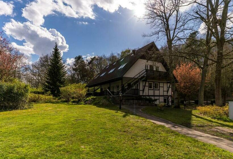 Бунгало Стандарт, Landhotel Cafe Prälank