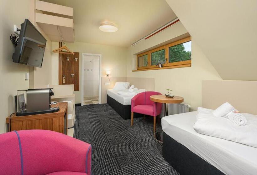 اتاق استاندارد, Premier  Adults Only